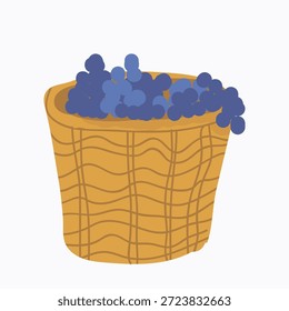 Uvas llenas de la ilustración dibujada a mano del Vector de la cesta
