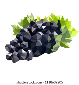 Grapes geometrical. Low poly