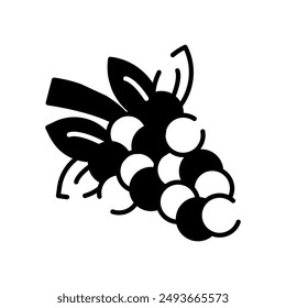 Grapes Glyph Icon, Vector illustration