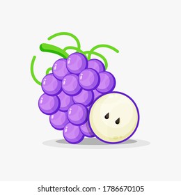 Grapes and grape slices vector