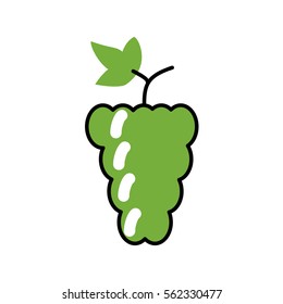 Grapes, grape vines. Vector flat line