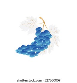 grapes with gray leaves