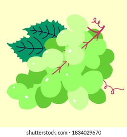 Grapes green, hand drawn vector illustration