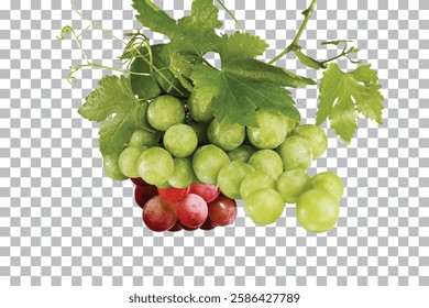Grapes with green leaf isolated on transparent background