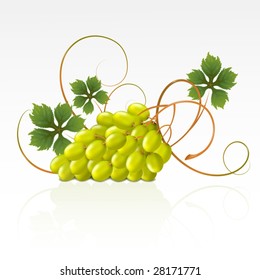  Grapes with green leaves on a white background