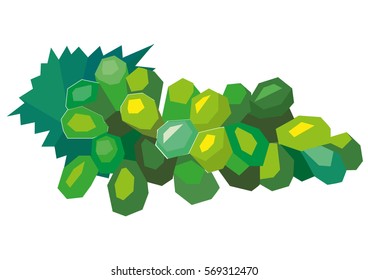 Grapes. Green. Stylized. Vector illustration.