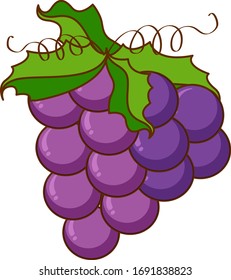 Grapes with green vine on white background illustration