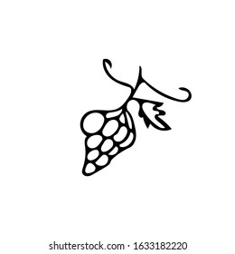 Grapes hand drawn doodle style. fruit, berries, harvest, ripe, summer, autumn