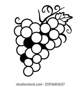 Grapes Hand drawn line art Paris Illustration