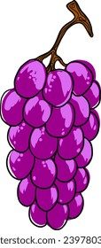 Grapes hand drawn vector illustration.