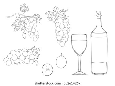 grapes hand drawn vector set line  art illustration