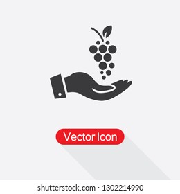 Grapes In The Hand Icon Vector Illustration Eps10