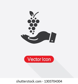 Grapes In The Hand Icon Vector Illustration Eps10