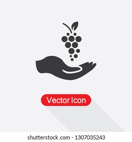 Grapes In The Hand Icon Vector Illustration Eps10