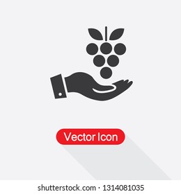 Grapes In The Hand Icon Vector Illustration Eps10
