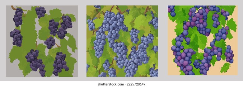 Grapes Hanging From Branch, Grape Illustration Vector Cartoon Drawing