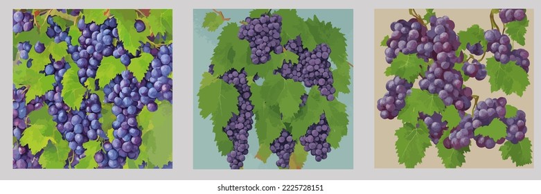 Grapes Hanging From Branch, Grape Illustration Vector Cartoon Drawing