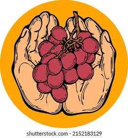 Grapes harvest in farmers hands. Etiquette logo design for wine bottle. Autumn rural vino festival. Winery production. Organic healthy food. Hand drawn vintage vector illustration. Old style drawing. 