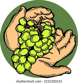 Grapes harvest in farmers hands. Etiquette logo design for wine bottle. Autumn rural vino festival. Winery production. Organic healthy food. Hand drawn vintage vector illustration. Old style drawing. 