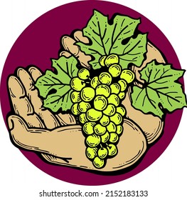 Grapes harvest in farmers hands. Etiquette logo design for wine bottle. Autumn rural vino festival. Winery production. Organic healthy food. Hand drawn vintage vector illustration. Old style drawing. 