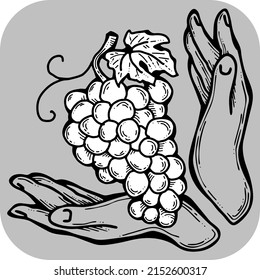 Grapes harvest in farmers hands. Etiquette logo design for wine bottle. Autumn rural vino festival. Winery production. Organic healthy food. Hand drawn vintage vector illustration. Old style drawing. 