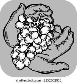 Grapes harvest in farmers hands. Etiquette logo design for wine bottle. Autumn rural vino festival. Winery production. Organic healthy food. Hand drawn vintage vector illustration. Old style drawing. 