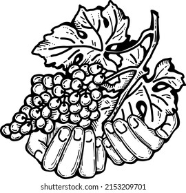 Grapes harvest in farmers hands. Etiquette logo design for wine bottle. Autumn rural vino festival. Winery production. Organic healthy food. Hand drawn vintage vector illustration. Old style drawing. 