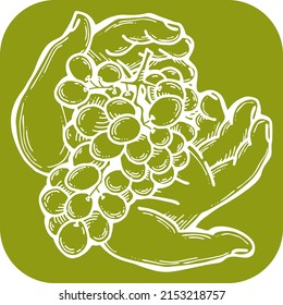 Grapes harvest in farmers hands. Etiquette logo design for wine bottle. Autumn rural vino festival. Winery production. Organic healthy food. Hand drawn vintage vector illustration. Old style drawing. 