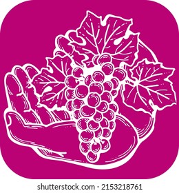 Grapes harvest in farmers hands. Etiquette logo design for wine bottle. Autumn rural vino festival. Winery production. Organic healthy food. Hand drawn vintage vector illustration. Old style drawing. 