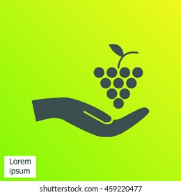 grapes icon
