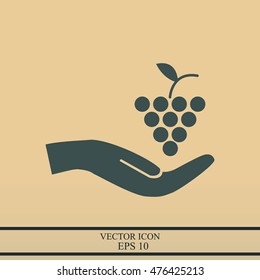 grapes icon