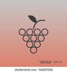 grapes icon