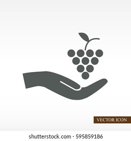 grapes icon