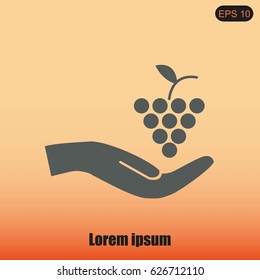 grapes icon