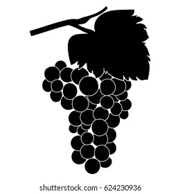 grapes icon. Bunch of grapes with leaf.