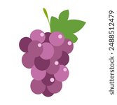 Grapes icon. Bunch of purple grapes with stem and leaf. Vector illustration isolated on white background.