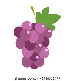 Grapes icon. Bunch of purple grapes with stem and leaf. Vector illustration isolated on white background.