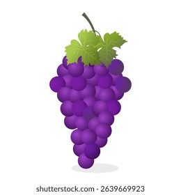 Grapes icon. Bunch of purple grapes with stem and leaf. Vector illustration isolated on white background.