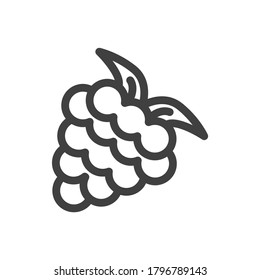 Grapes icon. A bunch of grapes. Simple minimalistic image. Isolated vector on white background.