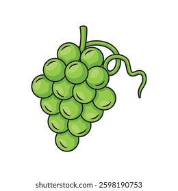 Grapes icon design. Vector design