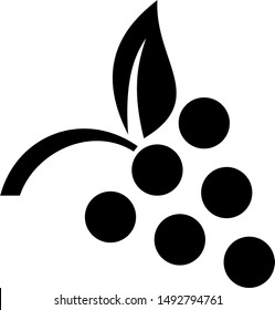 grapes icon designed in black