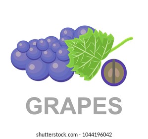 Grapes icon entirely and in a cut. grapes icon, vector fruit illustration, nature wine
