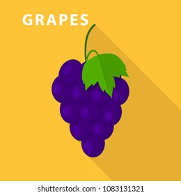 Grapes icon. Flat illustration of grapes vector icon for web design