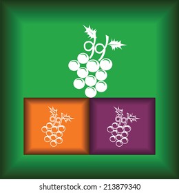 Grapes Icon Flat on Color Button background