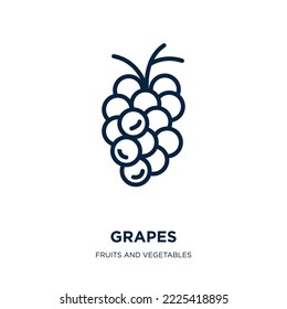 grapes icon from fruits and vegetables collection. Thin linear grapes, fruit, food outline icon isolated on white background. Line vector grapes sign, symbol for web and mobile