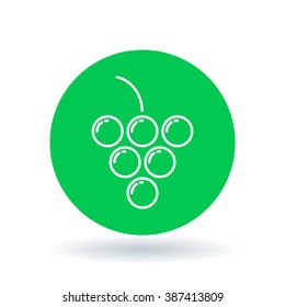 Grapes icon. Grape cluster sign. fruit symbol. White icon on green circle background. Vector illustration.