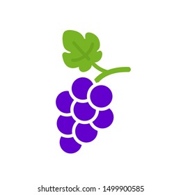 Grapes icon. Grapevine with leaf. Wine logo. Fruit pictogram. Vector illustration isolated.