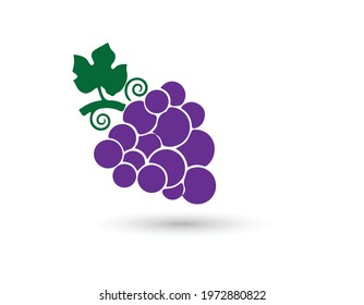Grapes icon. Grapevine with leaf. Wine logo. Fruit pictogram. Vector illustration isolated.