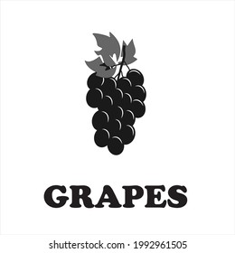 Grapes icon. Grapevine with leaf. Wine logo. Fruit pictogram. Vector illustration isolated.