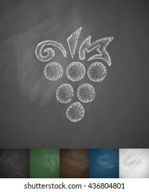 grapes icon. Hand drawn vector illustration
